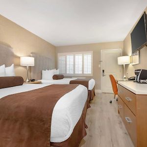 Deluxe Double Room Two Double Beds